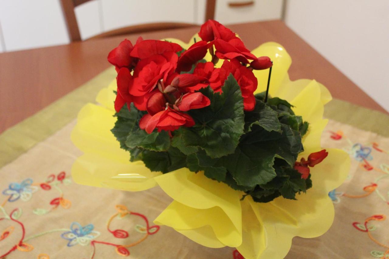 Apartmán Hibiscus Marausa Exteriér fotografie